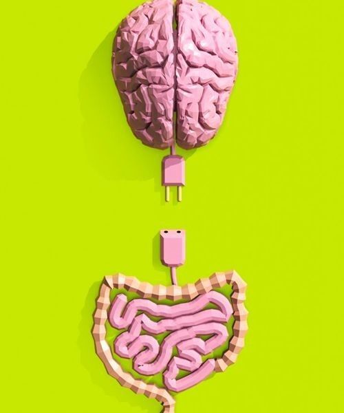 Estrés, Ansiedad y Microbiota ¿Están Relacionados?